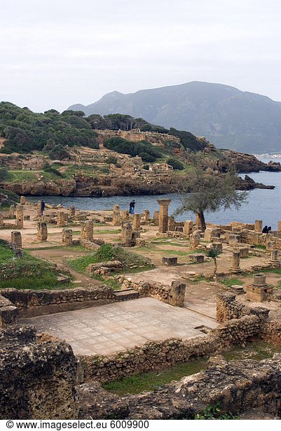 Römische Website Tipasa  UNESCO World Heritage Site  Algerien  Nordafrika  Afrika