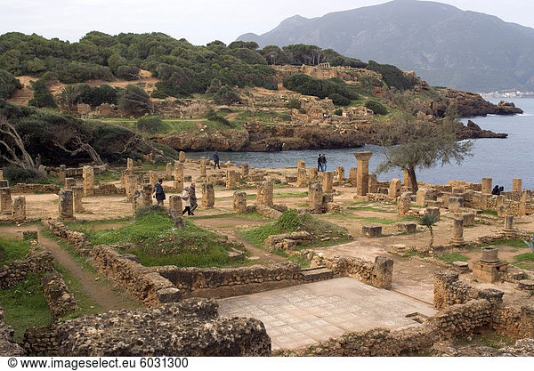 Römische Website Tipasa UNESCO World Heritage Site Algerien Nordafrika Afrika
