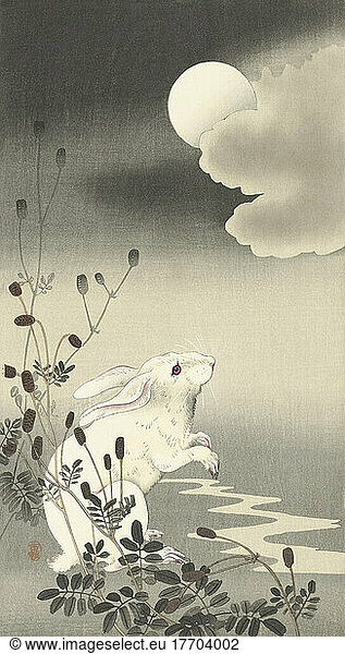 Rabbit Under a Full Moon  by Japanese artist Ohara Koson  1877 - 1945. Ohara Koson was part of the shin-hanga  or new prints movement.
