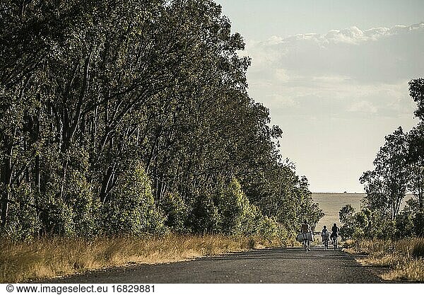 Radfahrer auf der RN7 (Nationale Route 7) in der Nähe des Isalo-Nationalparks  Südwest-Madagaskar