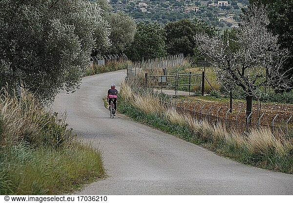 Radfahrer auf der Straße  Mancor de la Vall  Mallorca  Balearische Inseln  Spanien.