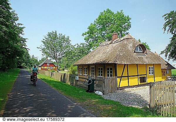 Radfahrer vor reetgedecktem  kleinem Fachwerkhaus  Radreise  Looland  Dänemark  Europa