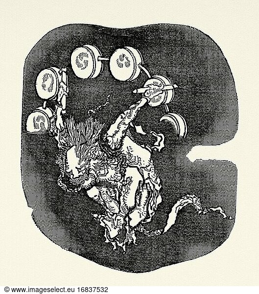 Raijin. Der Gott des Donners  japanische Mythologie  Japan. Alte gestochene Illustration aus dem 19. Jahrhundert Reise nach Japan von Aime Humbert aus El Mundo en La Mano 1879.
