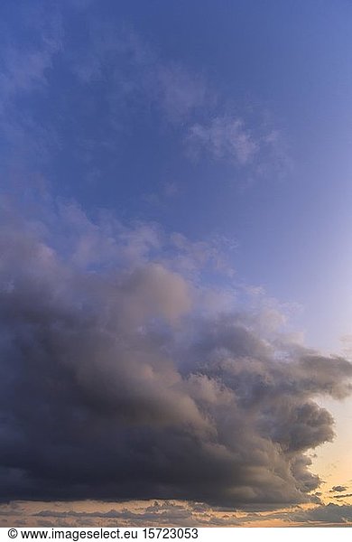 Rain cloud (Nimbostratus) in the evening sky  Bavaria  Germany  Europe