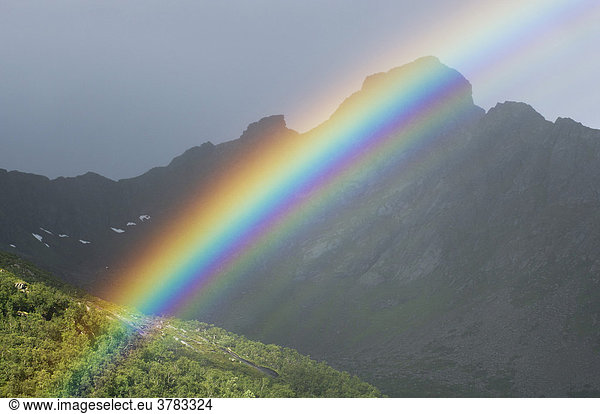Rainbow  Vestvagoy  Lofoten  Norway  Scandinavia  Europe