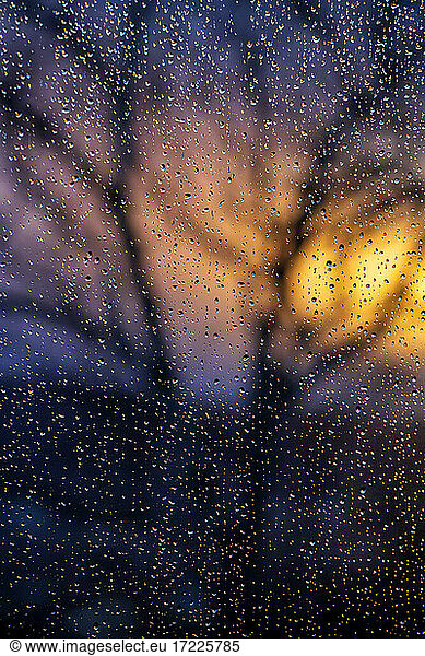 Raindrops on window pane at sunset