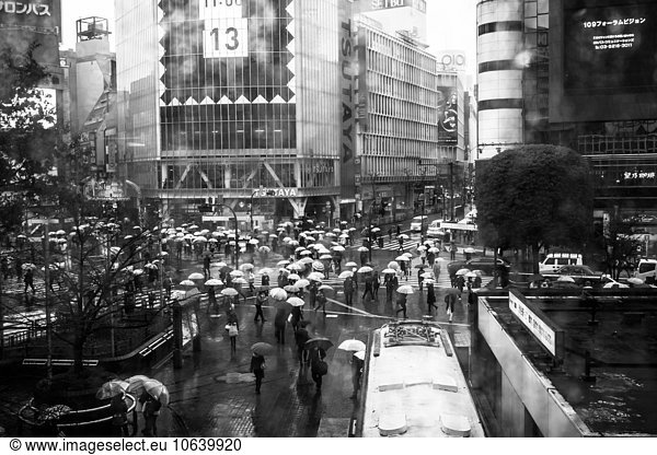 Rainy Shibuya crossing  Japan