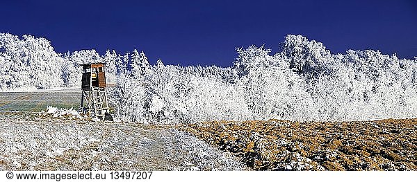 Raised hide in a frost-covered field  trees under a deep blue sky near Eichstaett  Pietenfeld  Bavaria  Germany  Europe