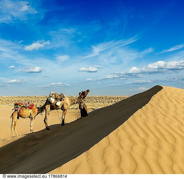 Rajasthan Reisehintergrund  Indien Kameltreiber mit Kamelen in den Dünen der Wüste Thar. Jaisalmer  Rajasthan  Indien  Asien