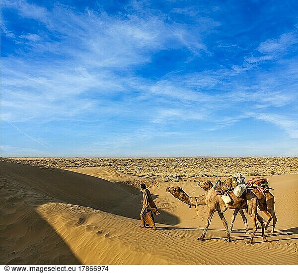 Rajasthan Reisehintergrund  Indien Kameltreiber mit Kamelen in den Dünen der Wüste Thar. Jaisalmer  Rajasthan  Indien  Asien