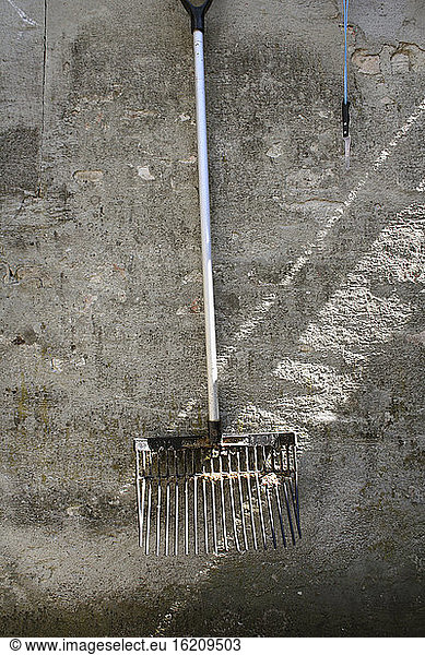 Rake hanging on grey house wall