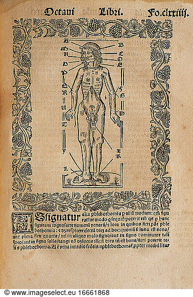 Ramon Llull (1235-1316). Spanish writer and philosopher. Practica Compendiosa Artis Raymundi Lulli  1523. Book 8. Medicine subject. Engraving depicting the human body and the influence of the stars (the astrological associations of the human body).