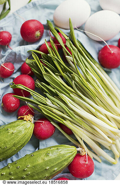 Ramson stems  cucumbers  red radishes and chicken eggs
