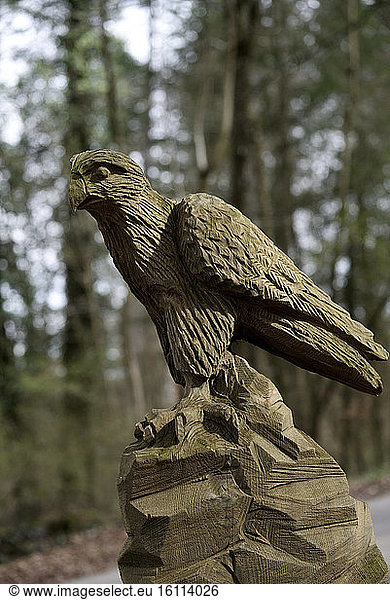 Raptor sculpture  trails of Faines and Enchanted Forest  wooden sculpture  forest  Boncourt  canton of Jura  Switzerland
