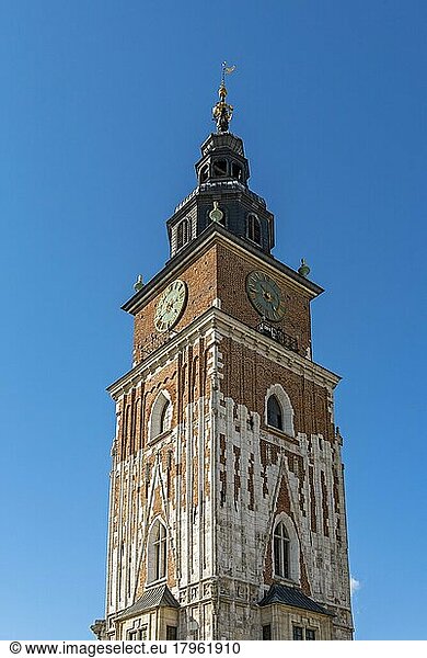 Rathausturm  Wieza ratuszowa  Hauptplatz  Rynek Glowny  Krakau  Polen  Europa