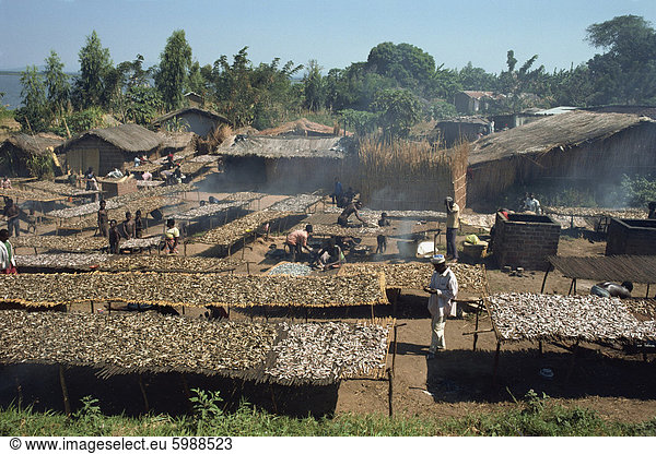 Rauchen Fische in einem Malawisee Fischerdorf, Malawi, Afrika