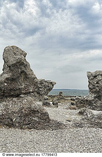 Raukar  Kalksteinsäulen  Felsen an der Küste  Erosion  Folhammar Naturreservat  Insel Gotland  Ostsee  Schweden  Europa
