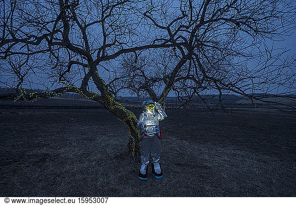 Raumfahrerin entdeckt abends einen Baum