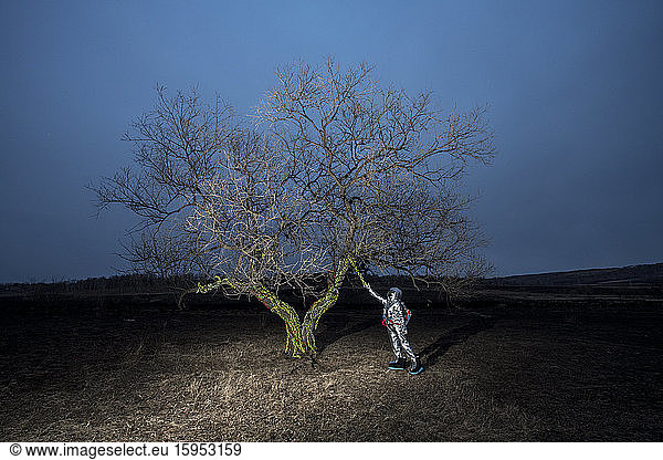 Raumfahrerin entdeckt abends einen Baum