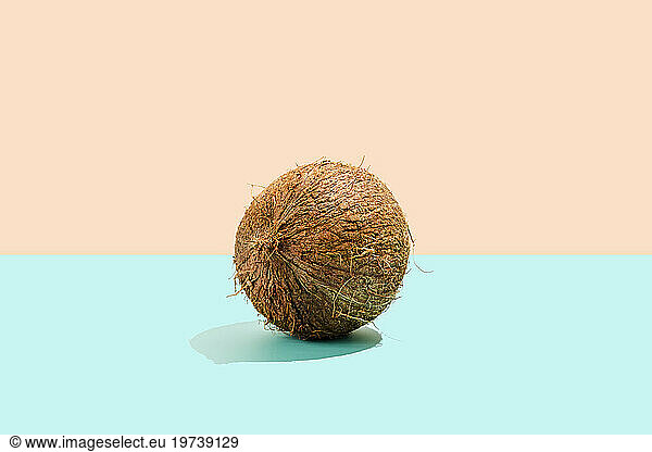 Raw coconut against colored background