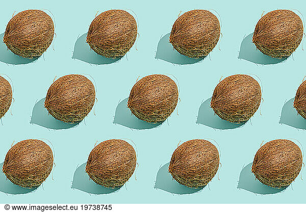 Raw coconuts arranged in row against blue background