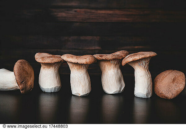 Raw king trumpet mushroom on wooden table