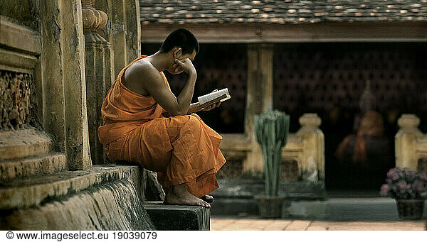 Reading monk