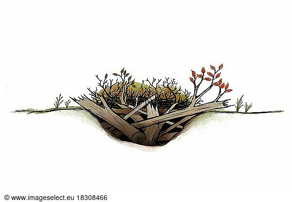 Realistic illustration of a cross-section of deadwood piles  ecologically valuable habitat for increasing biodiversity in the natural garden  isolated