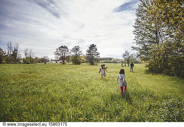 Rear-view of a family running through tall  green grass on a sunny day