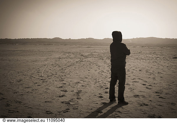 Rear view of a mature man standing in desert  Renesse  Schouwen-Duiveland  Zeeland  Netherlands