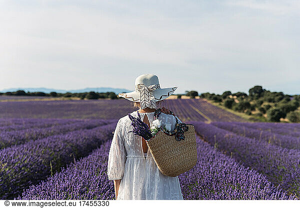 Rear view of a woman in a hat strolling through lavender fields.