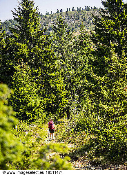 Rear view of a women walking towards Vosges mountain at Hilsenfirst  France