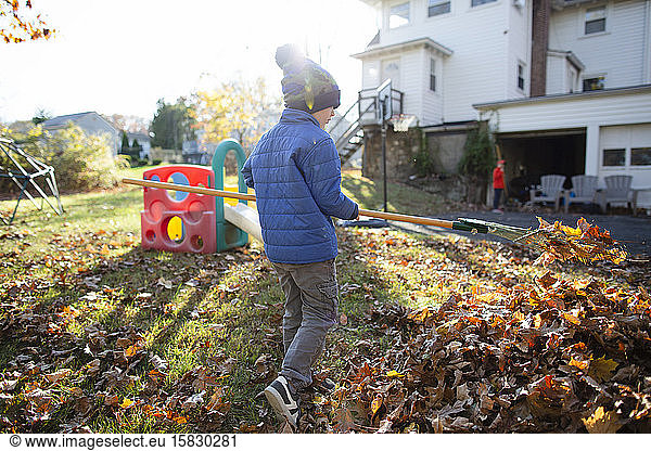 Rear view of a young boy raking leaves during Autumn in the backyard
