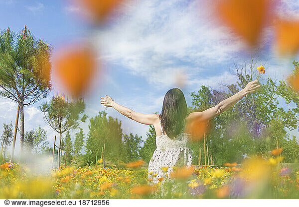 Rear view of a young woman sitting on flower meadow with arms raised