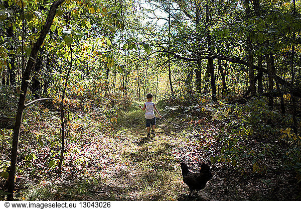 Rear view of boy hiking amidst trees in forest