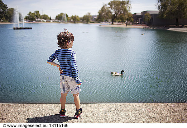 Rear view of boy standing on footpath by lake