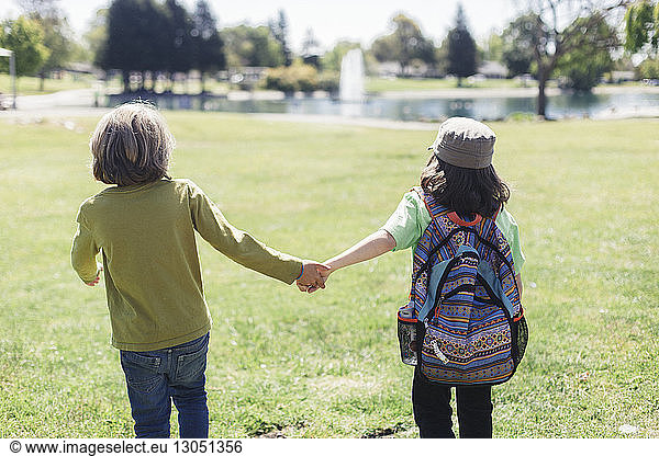 Rear view of brothers holding hands while standing in park during field trip