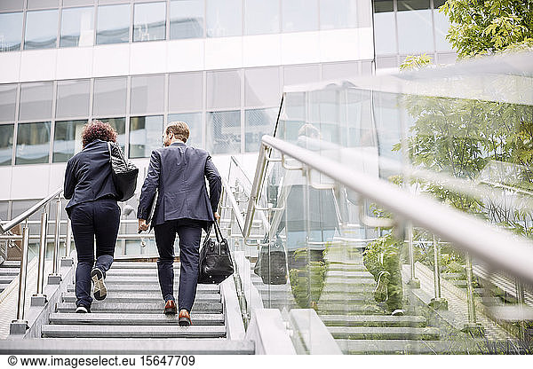 Rear view of business coworkers walking on steps towards office