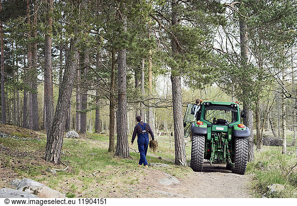 Rear view of farmer walking by tractor amidst trees on field