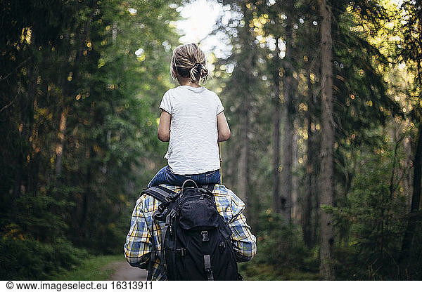 Rear view of father carrying daughter on shoulder while walking in forest