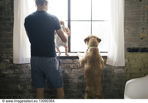 Rear view of father with daughter and dog looking through window