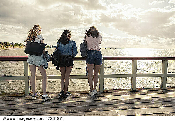 Rear view of female friends leaning on railing at pier during sunset
