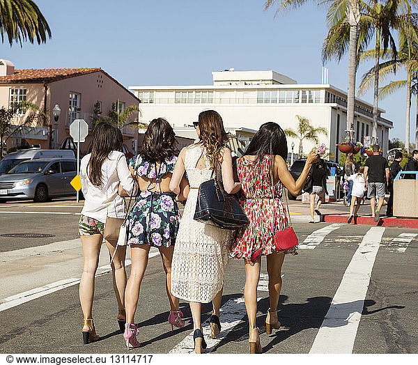 Rear view of female friends walking on city street