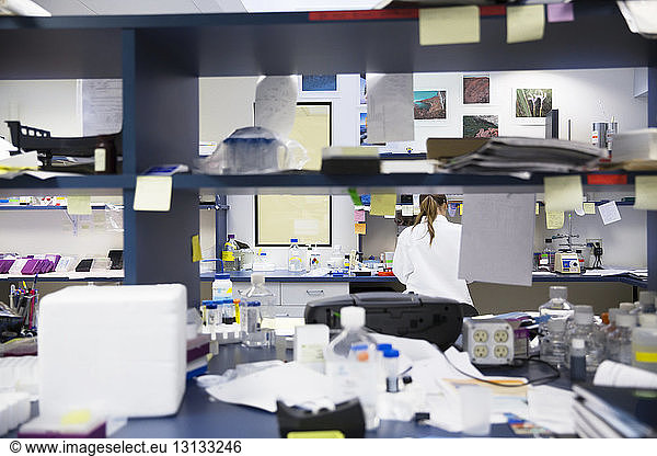 Rear view of female scientist working in laboratory