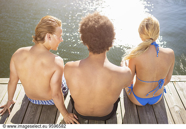 Rear view of friends sitting on boardwalk at lake