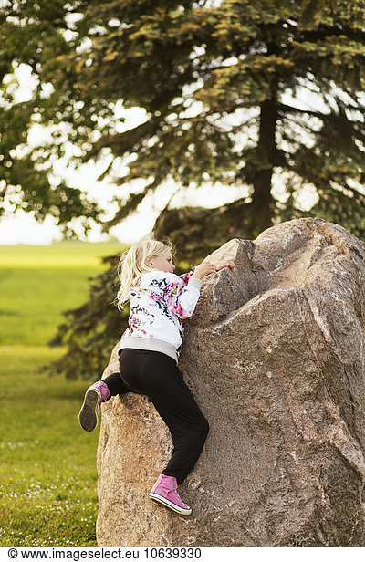 Rear view of girl climbing rock at field