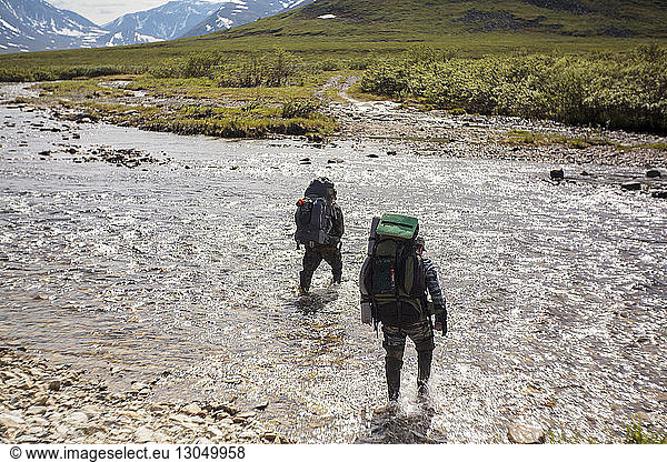 Rear view of hikers walking in river