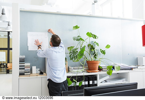 Rear view of male architect working in creative office