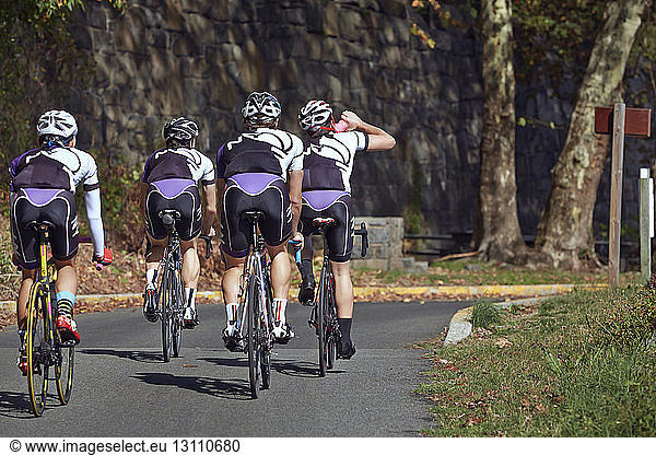 Rear view of male athletes riding bicycles on road