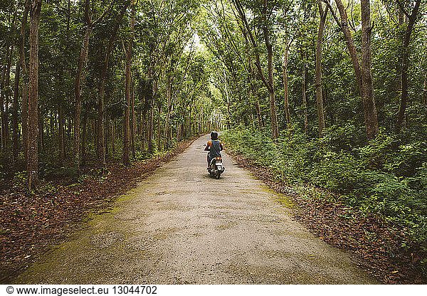 Rear view of man riding motor scooter on road amidst trees at forest